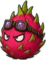 Pitaya